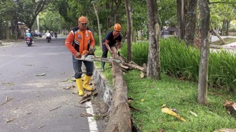 Dilanda Angin Kencang, BPBD Kota Malang Imbau Warga Waspada
