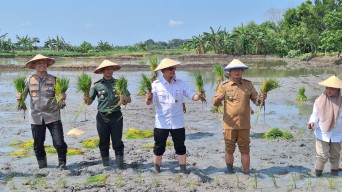 Kementan Gelontor Bantuan Dorong Produktivitas Lahan Tadah Hujan di Lamongan