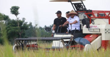 Panen Raya Probolinggo Diklaim Mampu Penuhi Kebutuhan 1,2 Juta Warga