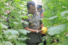 Pj Wali Kota Probolinggo Bakal Kembangkan Melon Hidroponik di Lahan Aset Pemkot
