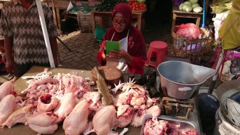Stok Daging Ayam Potong di Tulungagung Kosong Jelang Ramadan