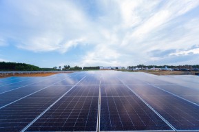 IKN Dialiri Energi Bersih, PLTS Tahap 1 Kapasitas 10 MW Sukses Dioperasikan
