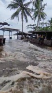 Gelombang Tinggi Terjang Pesisir Selatan Trenggalek, Banjir Rob Rendam Pertokoan
