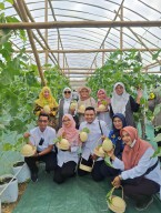Serunya Tradisi Kupatan di Gunung Menjuluk Lamongan, Bisa sambil Petik Melon