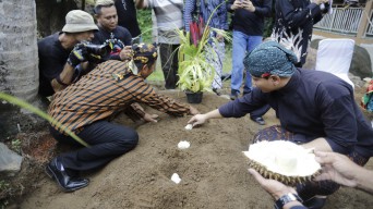 Bupati Trenggalek Ikuti Ritual Metri Durian, Apa Itu?