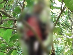 Penjual Mainan Gantung Diri di Sampang Diduga Depresi Biaya Operasi Anak