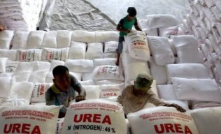 Kuota Pupuk Subsidi di Probolinggo Bakal Ditambah, Diperta Rapikan Data