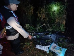 5 Fakta Fortuner Terjun ke Jurang Kawasan Bromo Gegara Rem Blong