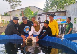 Budi Daya Ikan jadi Cara Desa Banjarkemantren Sidoarjo Berdayakan Warga