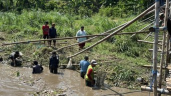 Melihat Tradisi Pladu di Sungai Brantas, Warga Kediri Panen Ikan Mabuk