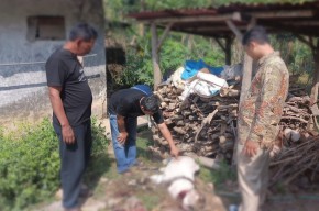Tidak Cocok Harga, Warga Pacitan Racuni Kambing Tetangga