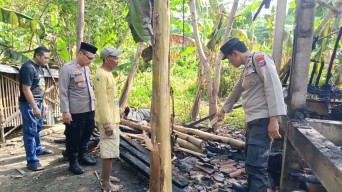 10 Kambing di Ponorogo Hangus Terpanggang Gegara Bakar Sampah