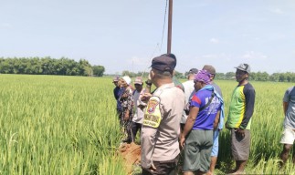 Petani di Bojonegoro Tewas Tersengat Listrik Saat Perbaiki Pompa Air