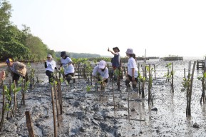 Pelindo Tanam 20.000 Bibit Mangrove di Desa Bancaran Bangkalan