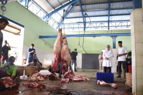 Pemotongan Hewan Kurban di RPH Kota Kediri Membludak, Pj Wali Kota Lakukan Peninjauan
