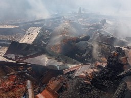 Kandang di Lamongan Terbakar Sambar 3 Rumah, 4 Sapi Terpanggang