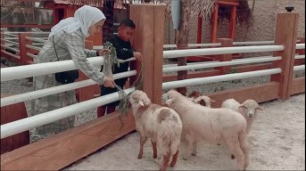 Rekomendasi Wisata Edukasi Anak di Jember, Dira Rustic Usung Konsep Farm House