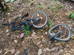Bertiga Naik Sepeda Tanpa Rem Tabrak Pohon di Jember, 1 Anak Tewas