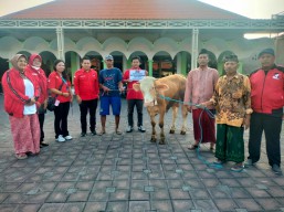 DPC PDIP Sidoarjo Serahkan Kurban Sapi di 2 Lokasi