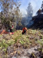 Kebakaran Lereng Gunung Batok Kawasan Bromo Dipastikan Sepenuhnya Padam