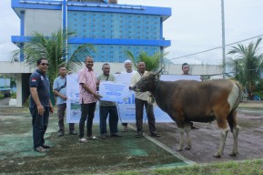 Idul Adha 1445 Hijriah, Pelindo Petikemas Salurkan 215 Hewan Kurban