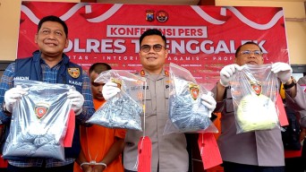 Pemuda di Trenggalek Ditangkap Polisi, Jual Bubuk Petasan 3 Kg
