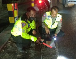 2 Pemotor Tewas Adu Banteng di Jalur Pantura Probolinggo