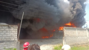 63 Ribu Ekor Ayam Potong di Tulungagung Ludes Terbakar