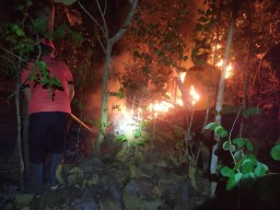 2 Hektare Hutan Gunung Jaas Trenggalek Terbakar