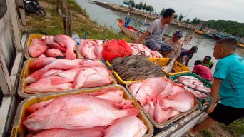 Pemkab Lamongan Ajak Warga Tingkatkan Konsumsi Ikan, Gelar Demo Masak dan UMKM