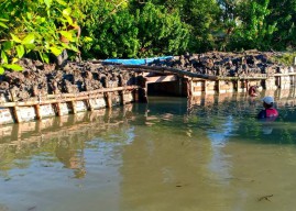 Antisipasi Banjir Rob, Petani Tambak Kalanganyar Sidoarjo Tinggikan Tanggul