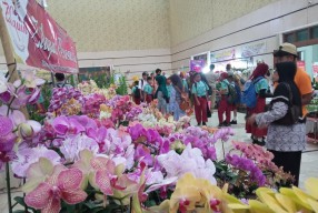 Festival Anggrek di Jember, Transaksi 2 Hari Tembus Ratusan Juta