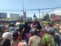 Petani Tomat di Jember Bagi-bagi Gratis Depan Kantor DPRD, Kecewa Harga Rp500/Kg