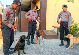Mengenal Unit K9 Polresta Sidoarjo, Turut Amankan G20 Bali