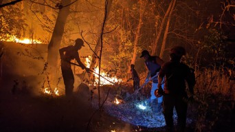 BPBD Ponorogo Catat 6 Kali Hutan Terbakar dalam Juni-Juli 2024