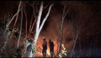 Hutan Gunung Putuk Cupu di Ponorogo juga Terbakar, 2 Hari Belum Padam
