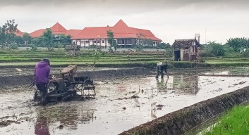 Rakor di Kota Batu, Kementan Dorong Peningkatan Produktivitas Padi lewat UPJA