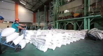 PG Ngadiredjo Kediri Optimis Capai Target 65 Ribu Ton Gula di Musim Giling 2024