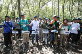 Tanam Mangrove, Mekabox Gandeng Bruin Ajak Warga Surabaya Peduli Lingkungan