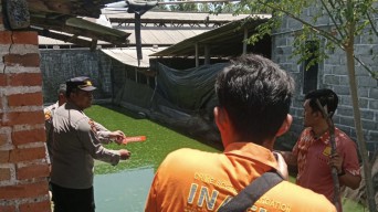 Ditinggal Ibu Memasak, Balita Tulungagung Tewas di Kolam Ikan Gurame