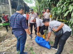 Jasad Bayi Laki-laki Dibuang di Pekarangan, Polres Blitar Buru Pelaku