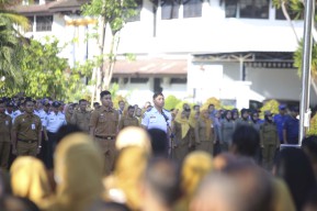 8.913 Pelamar Telah Mendaftar CPNS di Ponorogo, Berebut 323 Formasi