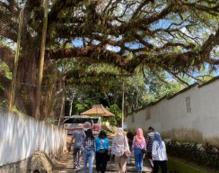 Jember akan Miliki Kampung Belgia, Bangunannya Berusia 1 Abad