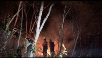 70,2 Hektare Hutan di Ponorogo Terbakar, BPBD Curiga Dominan Unsur Kesengajaan