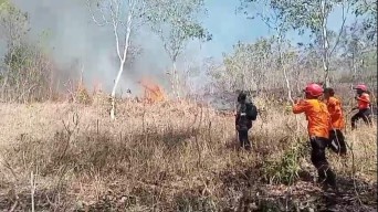 Hutan Orak Arik Trenggalek Terbakar, Petugas Kewalahan Padamkan Api