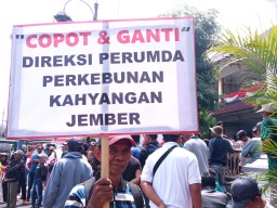 Buruh PDP Kahyangan Jember Minta Direksi Dicopot, Dinilai Cuma Numpang Makan