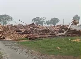 Puting Beliung di Jember, Pohon Tumbang-Sejumlah Bangunan Ambruk