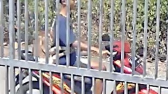 Aksi Bocah di Ponorogo Curi Anak Kambing Terekam CCTV, Kini Ditangkap Polisi