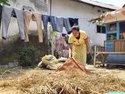 Warga Jember Kecewa Pencairan Bantuan Pemerintah Ditunda, Gara-gara Pilkada?