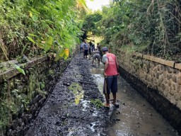 Program Padat Karya di Banyuwangi Sasar 2400 Warga Prasejahtera